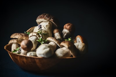 暗底蘑菇碗